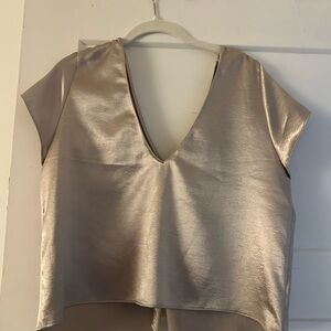 Zara Metallic V-Neck Crop Top